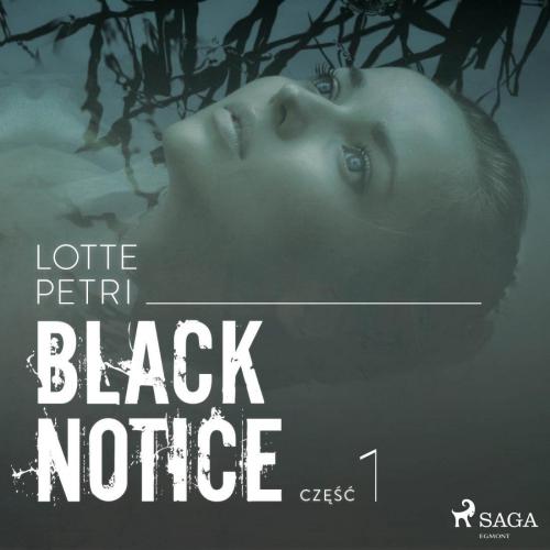 Petri Lotte - Black notice - ykECeM2.jpg