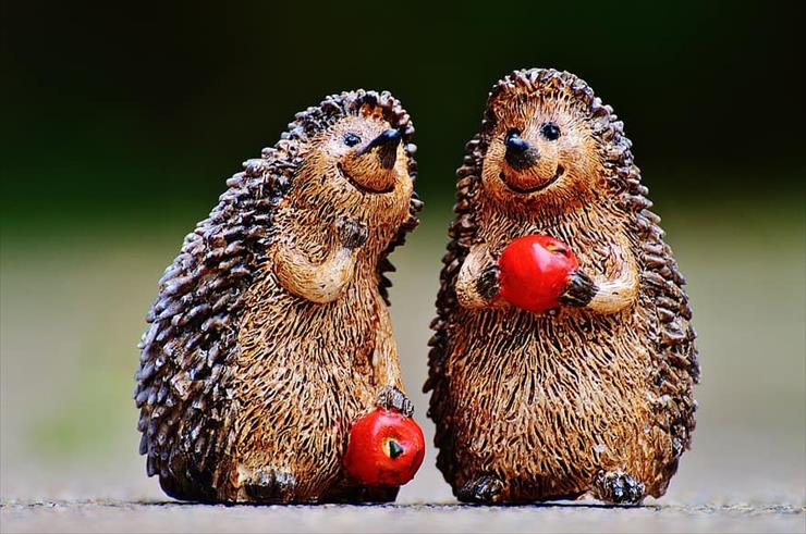 06 - Obrazki animacje - hedgehog-figures-funny-cute-sweet-pair-apple-decoration-cheerful.jpg