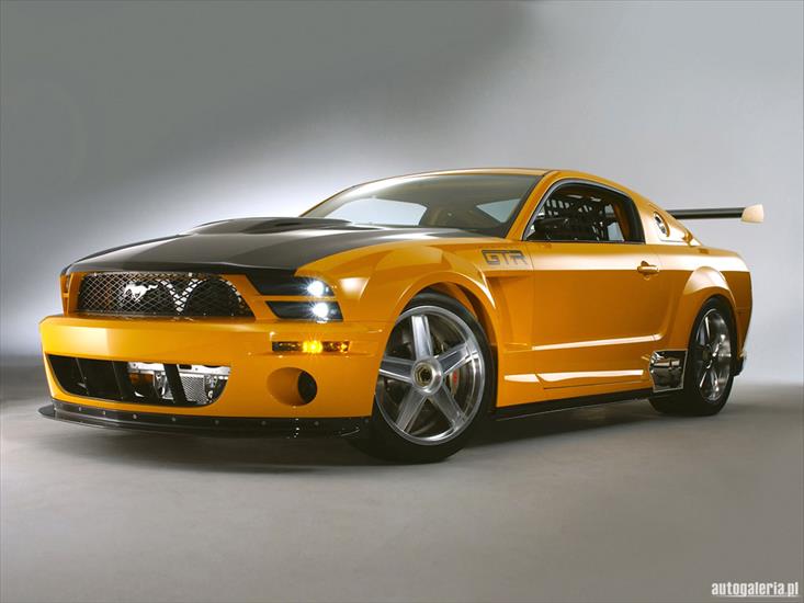 Galeria - ford_mustang_gt-r_concept_2005_01_m.jpg